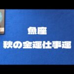 10月11月魚座金運仕事運：新しい計画を現実にするために信頼を得る。頼れるパートナーや応援してくれる人と出会う。諦めずに続けることが大事。
