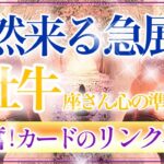 【おうし座さん🍁】突然来る急展開🔥興奮し過ぎごめんなさい🙏貴方って本当に凄い！！✨👏葛藤の終わり❤️【タロット・ルノルマン・オラクルカードリーディング】