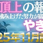 【山羊座♑金運】11月前期は達成の好機✨積み上げた努力が黄金に変わる【12星座】