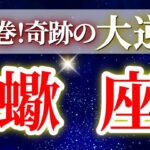 『11月3日までに見て！』 蠍座 ( 2025年11月 前半) 一気に加速！奇跡の大転機✨🔑エネルギッシュな勢いが止まらない！✨🔑 さそり座 ♏ タロット占い タロットリーディング 2025