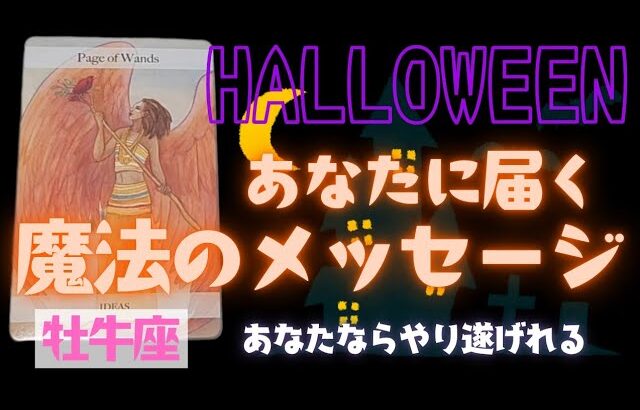 【牡牛座】魔法のメッセージ🎃🎉▼タロットカード&オラクルカード&ルノルマンカード占い