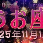 うお座さん♓2025年11月12月の運勢☆もっともっと自信を持ってそのままのあなたが最強なんです☆KIPPO☆TAROTリーディング☆