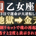 【乙女座♍️11月前半】💥8秒以内に再生して！あと3日で運命の歯車が動き出して奇跡が始まります。魂が地図の書き換え開始【12星座占い】【2025年運勢】 #乙女座  #金運  #占星術 #開運