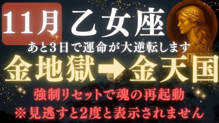 【乙女座♍️11月前半】💥8秒以内に再生して!あと3日で運命の歯車が動き出して奇跡が始まります。魂が地図の書き換え開始【12星座占い】【2025年運勢】 #乙女座  #金運  #占星術 #開運