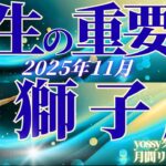 11月の運勢🧚しし座　もうすぐ転機が起こる前ぶれあり！意外とネガティブな出来事が変わり目！(お金・仕事・人間関係)