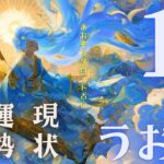 #魚座  #タロット占い 【11月前半運勢】