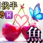 【魚座】10月後半の運勢❤️大吉報！大チャンス！こ、こ、これはすごい😳願いが叶う❤️‍🔥神々のメッセンジャー🌈マンスリー　2025年　タロット占い