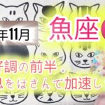 魚座♓2025年11月運勢タロットカード占い「絶好調から始まる11月☆後半は振り返りの時間を作ってみてください☆」