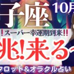 【双子座】最強‼️全体運だけでも分かる‼️スーパー幸運期きた😭✨【仕事運/対人運/家庭運/恋愛運/全体運】10月後半 タロット占い