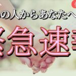 お相手からあなたへの緊急速報です😳💌恋愛タロット占い