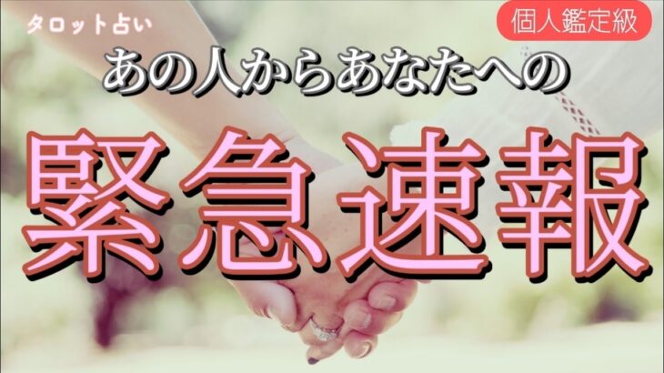 お相手からあなたへの緊急速報です😳💌恋愛タロット占い