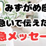 【水瓶座】鳥肌級のシンクロ＆今すぐ受け取って下さい❗️❣️＃タロット、＃オラクルカード、＃当たる、＃占い