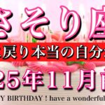 さそり座♏️11月前半全体運タロット★お誕生日おめでとうございます🎊㊗️！原点に戻り本来の自分が蘇る！Scorpio tarot reading