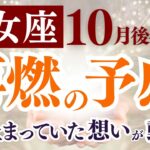 【乙女座さん】2025年10月後半から11月前半の「おとめ座」〜再燃の予感　止まっていた想いが動く〜
