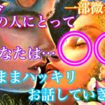 【🦋一部微辛注意⚠️💞】実はあの人にとってあなたは〇〇。出たままハッキリお話します🦋
