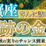 【蟹座】夢の種が実る！最高の金運フェーズへ🌾 ／ 奇跡の金運💰 ／ 秋の実りリーディング［オラクル＆タロット占い］