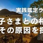 実践鑑定ライブ／母子の関係性。その原因を探る