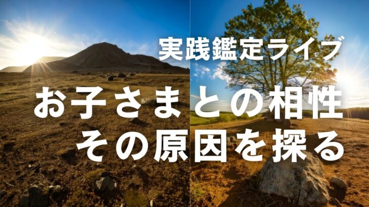 実践鑑定ライブ／母子の関係性。その原因を探る
