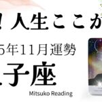 双子座11月は大注目！人生ここからリニューアル。まだまだ行くよ〜！！♊️2025年11月運勢仕事恋愛人間関係【癒しのタロット個人鑑定級】