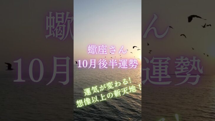 蠍座さん10月後半運勢 #タロット占い #タロットリーディング #占い #恋愛 #星座占い #蠍座　#さそり座 #蠍座　10月