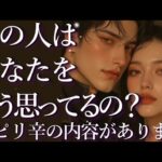 ⚠️ピリ辛あり⚠️あの人はあなたをどう思ってるの？🥺占い💖恋愛・片思い・復縁・複雑恋愛・好きな人・疎遠・タロット・オラクルカード