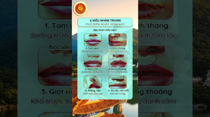 Kênh Tử Vi Cường Nguyễn: Bí mật vận mệnh hé lộ qua âm nhạc và làm đẹp – Huyền học giải mã cuộc đời