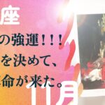 これは震えた。今回、レベルが違います。来てます、とても。【11月の運勢　獅子座】