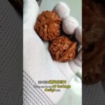 如何優化家裡的風水呢？ #風水 #文玩 #財富流