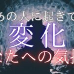 今あの人に起きている変化、あの人の気持ち 【 恋愛・タロット オラクル カード 占い 】
