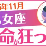 【乙女座】2025年11月おとめ座♍「運命が狂った‼️」