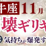 【牡牛座さん】2025年11月の「おうし座」〜崩壊ギリギリ　気持ちが爆発する前に〜