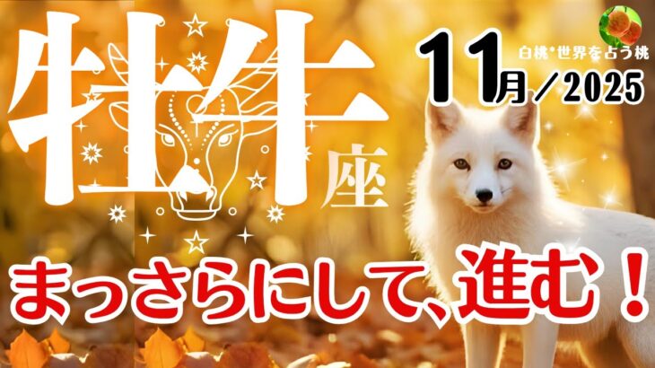 牡牛座♈2025年11月☆まっさらにして、進む!
