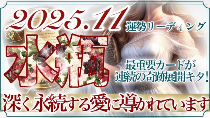 【みずがめ座さん👑】11月あなたに起こること🔮絶大な信頼を得ていく‼️奇跡のような答えが見つかる👏✨ステージがガラリと切り替わる💫安心していいんです✨❤️【タロット・ルノルマン・オラクルカード占い】