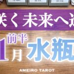 水瓶座♒️11月前半✨願い叶って悠々自適😆‼️花咲く未来へ進む時🍀次なるステージで探し物見つかるかも👀💓