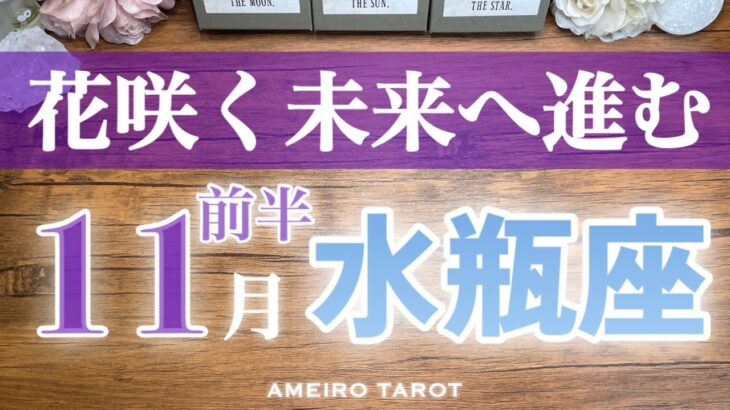 水瓶座♒️11月前半✨願い叶って悠々自適😆‼️花咲く未来へ進む時🍀次なるステージで探し物見つかるかも👀💓