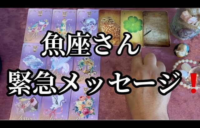 【最高の1ヶ月✨になる魚座さんへ表示されています】⚡️ここから1ヶ月😱全体運⭐️仕事運⭐️恋愛運🩷人間関係🩷ガッツリ読み解きました🃏