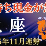 【魚座】2025年11月のうお座の運勢～手持ち現金が急増～