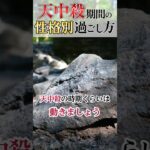 【算命学】天中殺は怖くない理由#shorts #算命学 #算命学鑑定 #占い #運勢鑑定 #天中殺