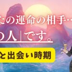 深い愛🐣あなたの運命の人。特徴・イニシャル・出会い方。もう出会ってるの？時期はいつ？【男心タロット、細密リーディング、個人鑑定級に当たる占い】