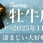 【おうし座】2025年11月♉️ おうし座さん…やっと抜ける！もう怖いものなし、嬉しすぎて涙出るかも、驚くほどの進展あり
