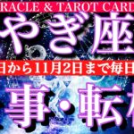 やぎ座♑️10月22日から11月2日までの仕事運タロット1日一枚引き！転機は？チャンスは？