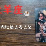 見たときがタイミング　牡牛座のあなたへ　　　　　　　　　　　3日以内に起こること