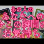 【恋愛】あの人のあなたへの今この瞬間の気持ち‼️💖✨️あの人は、あなたをどう思ってる？