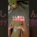 【獅子座】2025年11月♌️しし座さんの運勢️🔮#獅子座 #しし座 #占い