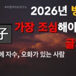 병오년 가장 조심해야 하는 글자는? _지지 자수, 오화, #갑자일주 #병자일주 #무자일주 #경자일주 #임자일주 #갑오일주 #병오일주 #무오일주 경오일주 임오일주 양력 12월 6월