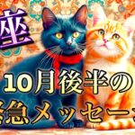 【魚座】10月後半の緊急メッセージ❤️大大吉！！ちょっとこれは最高すぎる😳マジカル神展開🌈あれよとあれよと大成功ウィークリー　1週間〜10日間の流れ🧚✨🏞️　2025年　タロット占い