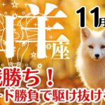 山羊座♑2025年11月☆作戦勝ち！スピード勝負で駆け抜ける11月