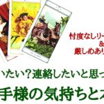🌹恋愛タロット占い🌹厳しめ選択肢あります‼️あの人は私に会いたい、連絡したいと思ってる？お相手様のあなたへの気持ちと本心　片思いからカップル復縁の方まで