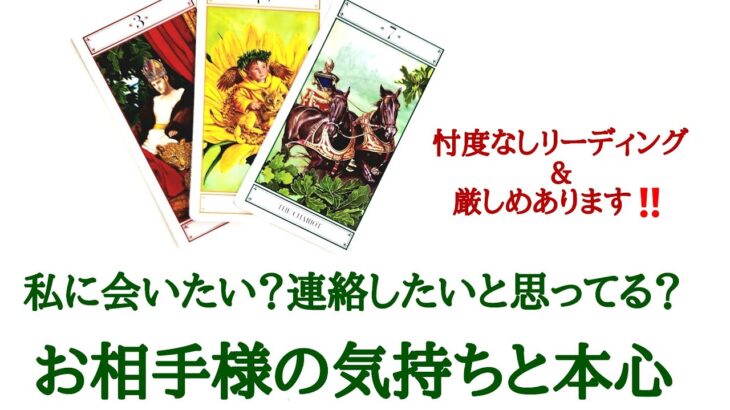 🌹恋愛タロット占い🌹厳しめ選択肢あります‼️あの人は私に会いたい、連絡したいと思ってる?お相手様のあなたへの気持ちと本心 片思いからカップル復縁の方まで