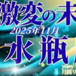 11月の運勢🧚みずがめ座　ついに…発展あり！！新しい力が開花する時！11月、出会いとチャンスが同時に来る✨(お金・仕事・人間関係)